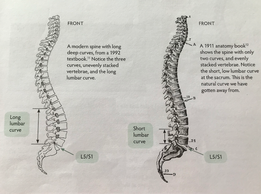 long back spine comparison